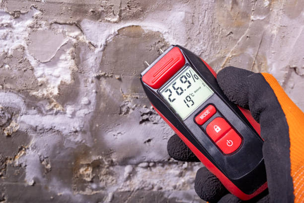 Best Industrial Mold Remediation in Grayson, GA