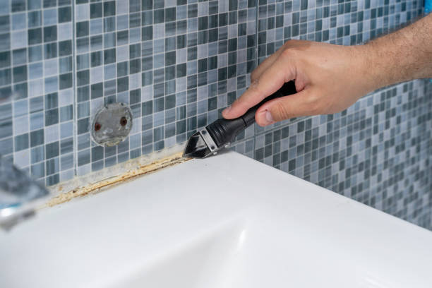 Best Residential Mold Remediation in Grayson, GA